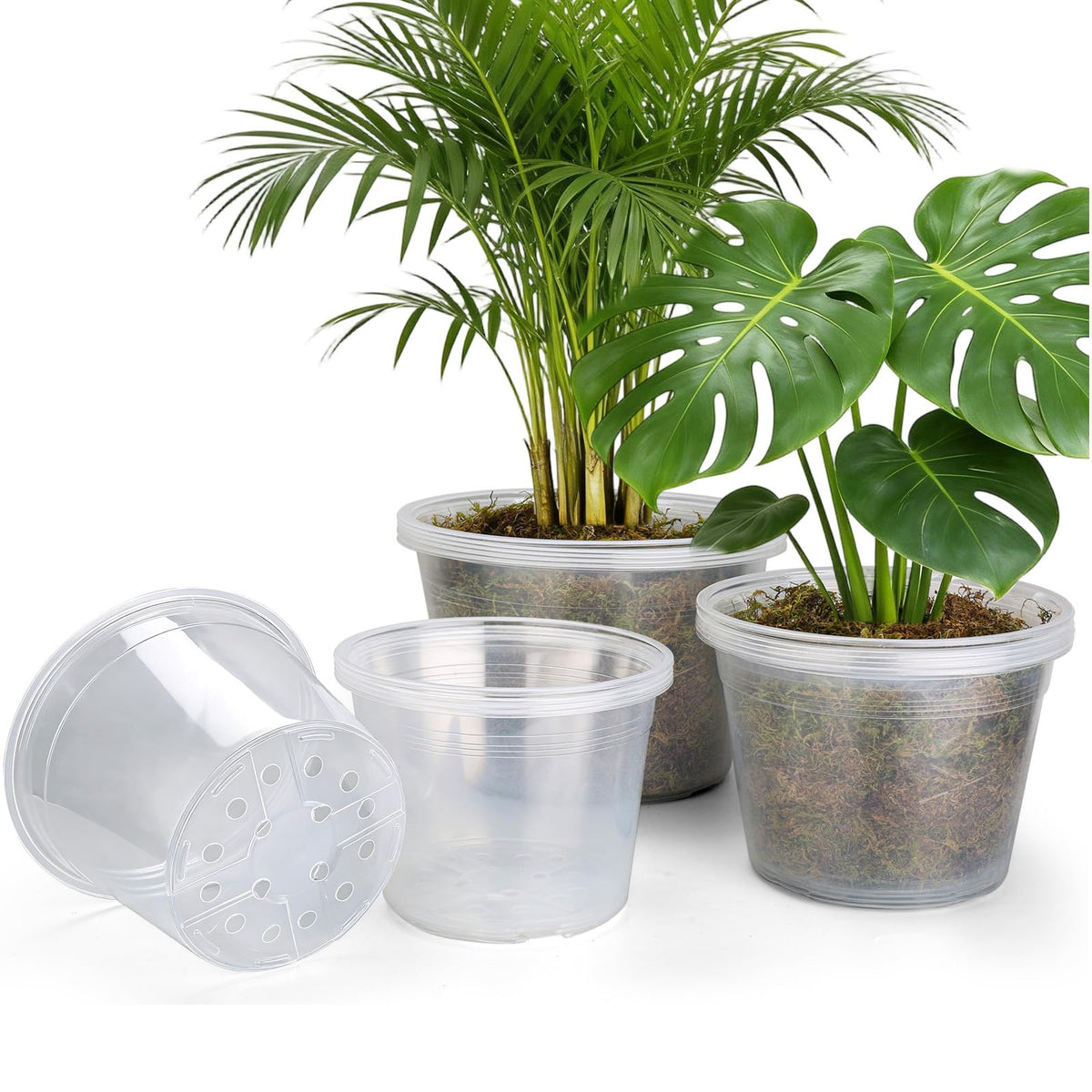 WTXHOP 15-pack clear nursery pot 8-inch for seedling growth with drainage for healthy roots