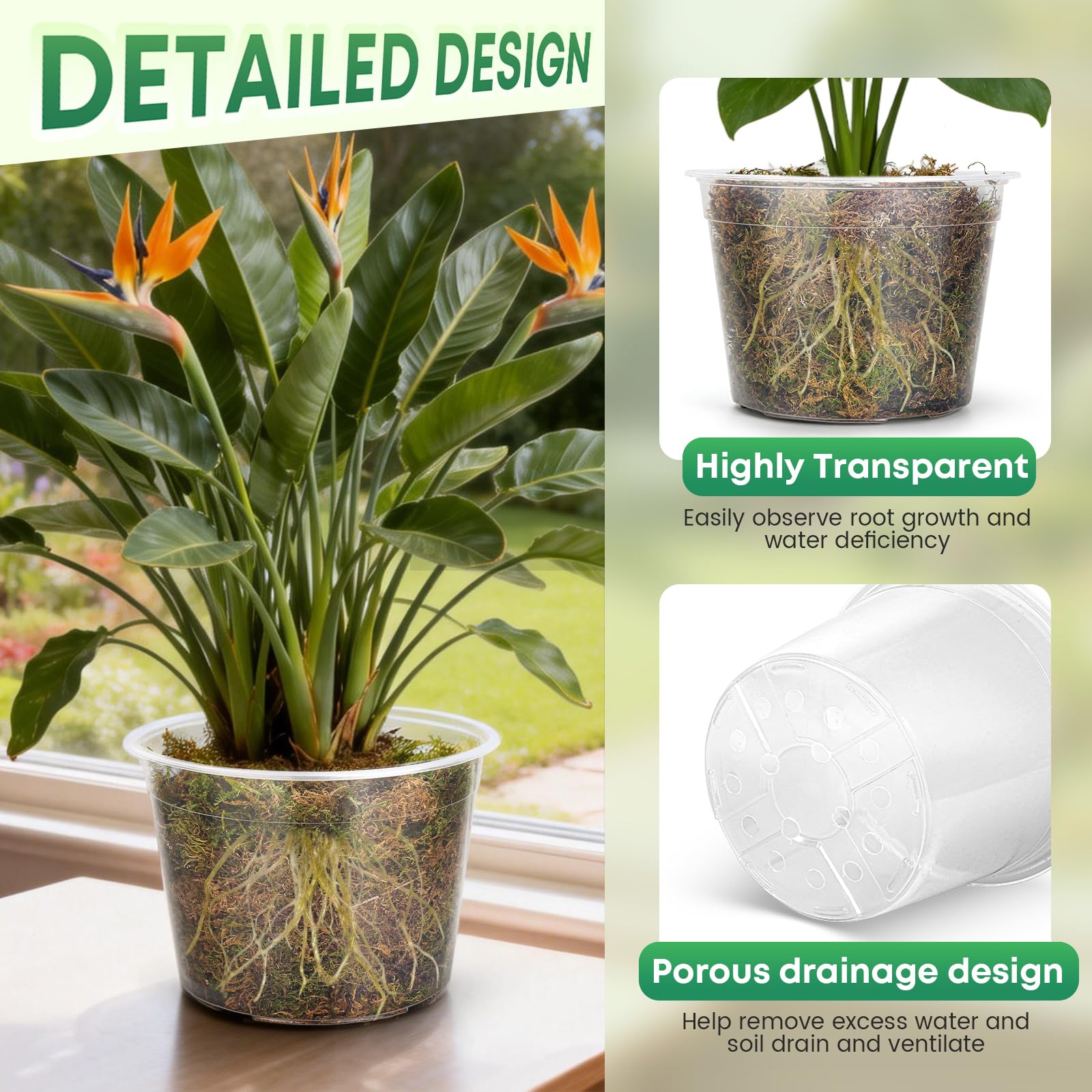 WTXHOP root-observation clear pot enables watching root growth and soil moisture