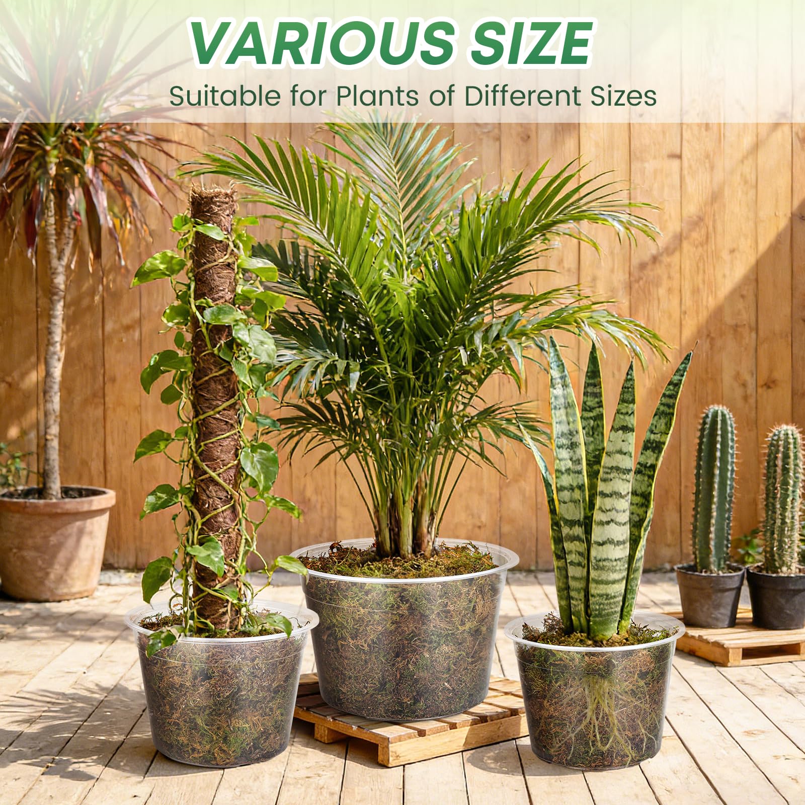 WTXHOP transplant-ease pot highlights simple seedling transfer and minimal root disruption