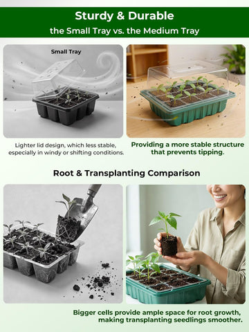 Wuraire eco-friendly PET tray combines durability with recyclability.