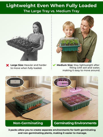 Wuraire seed starter tray seedling close-up highlights larger cells for healthy roots