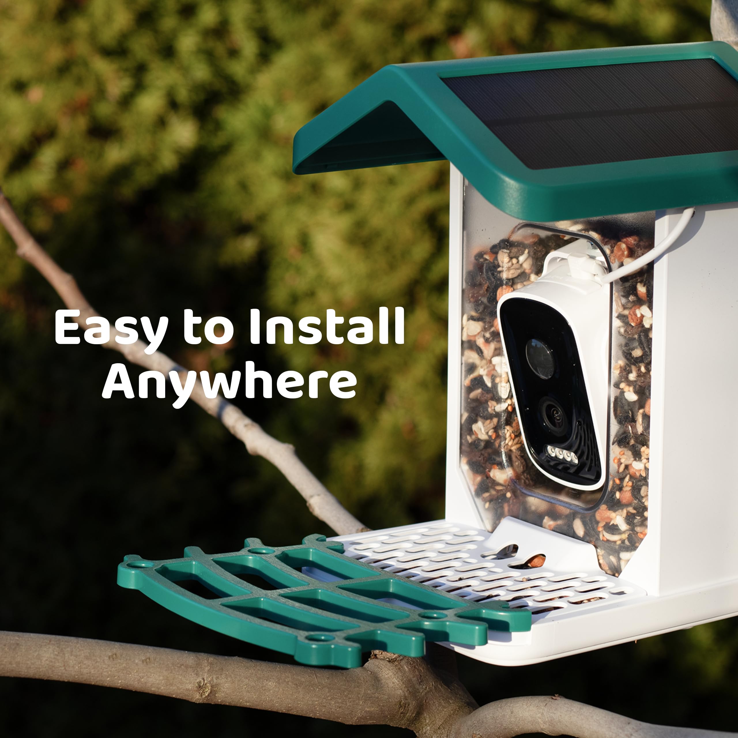 WuzuTech Happy Birdy draws North American birds like cardinals