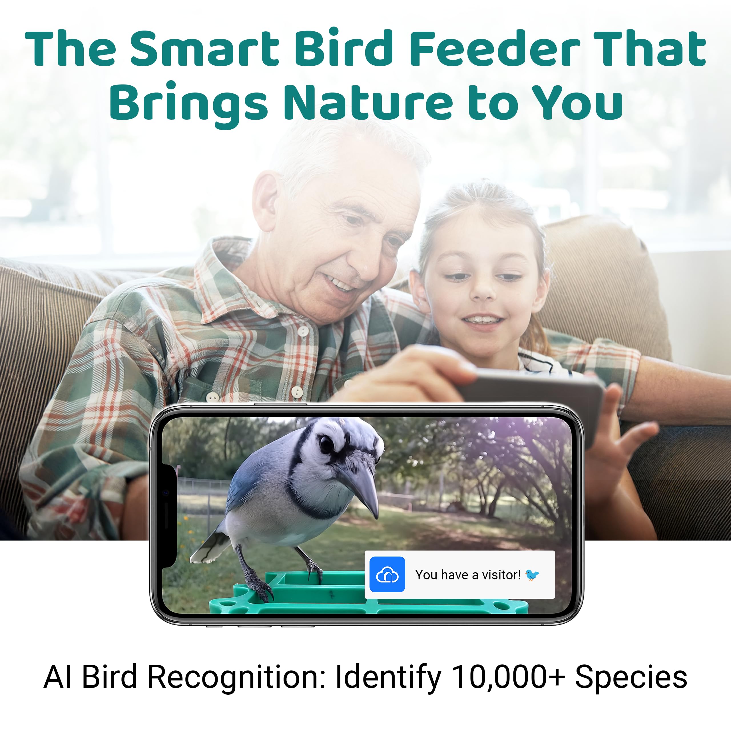 WuzuTech Happy Birdy night-vision for clear dusk bird activity