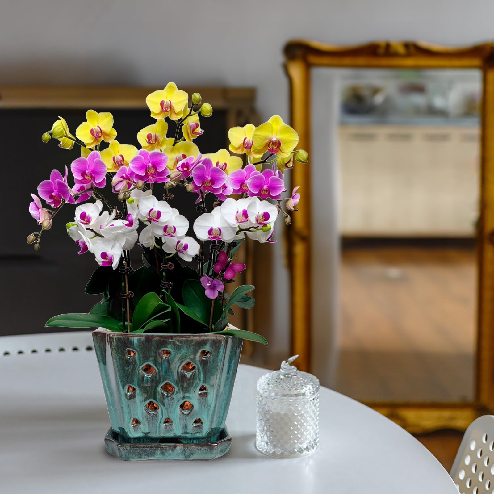 7-inch W&amp;W orchid pot demonstrates size compatibility for repotting.
