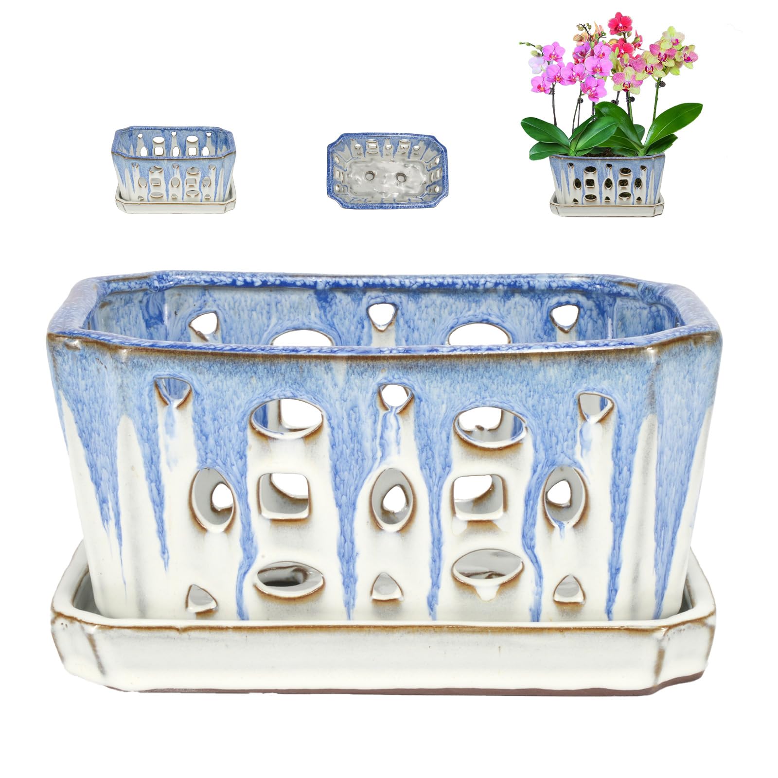 W&W Orchid Pot blue and white overview, ideal for orchid repotting.