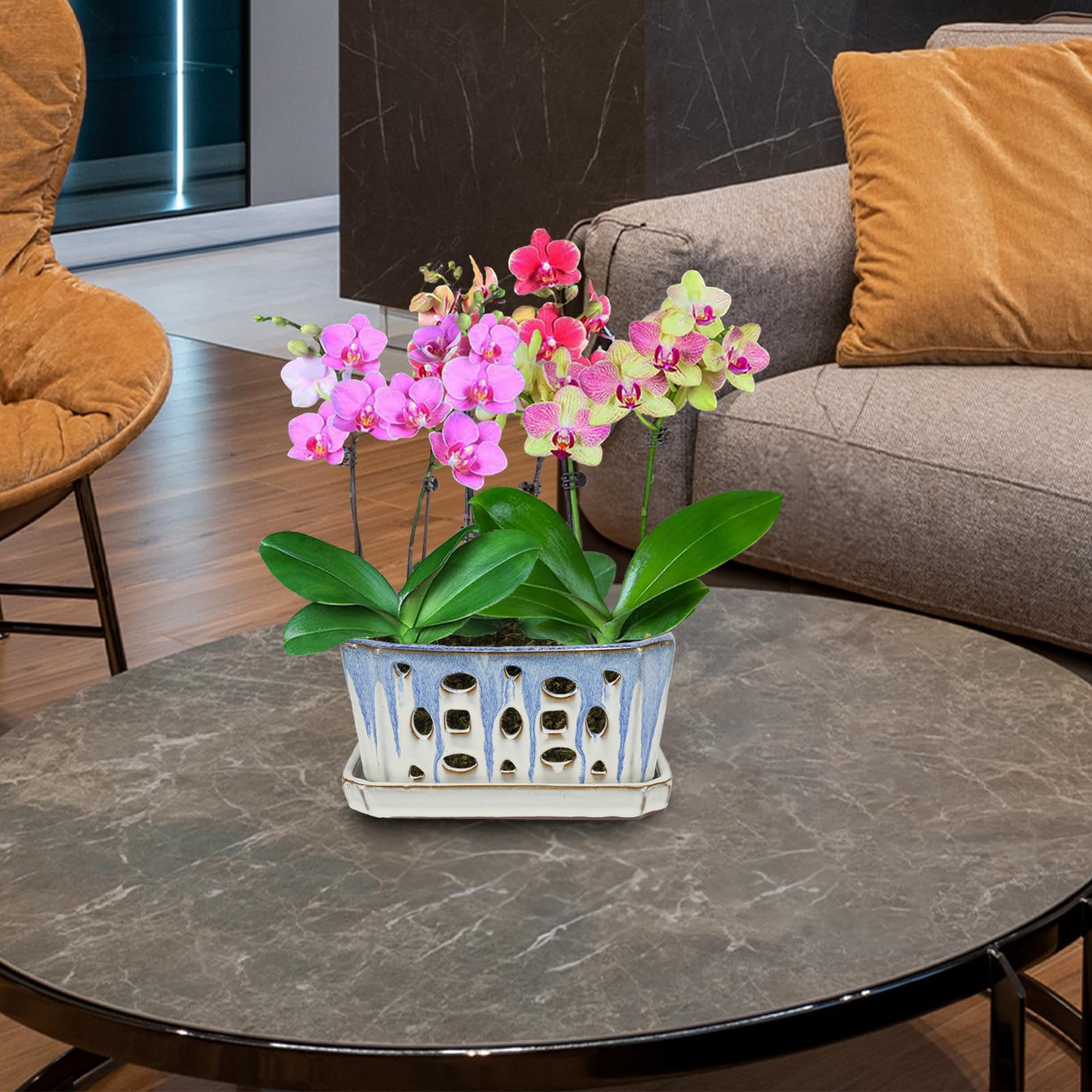 W&W Orchid Pot blue and white color scheme suits home decor.