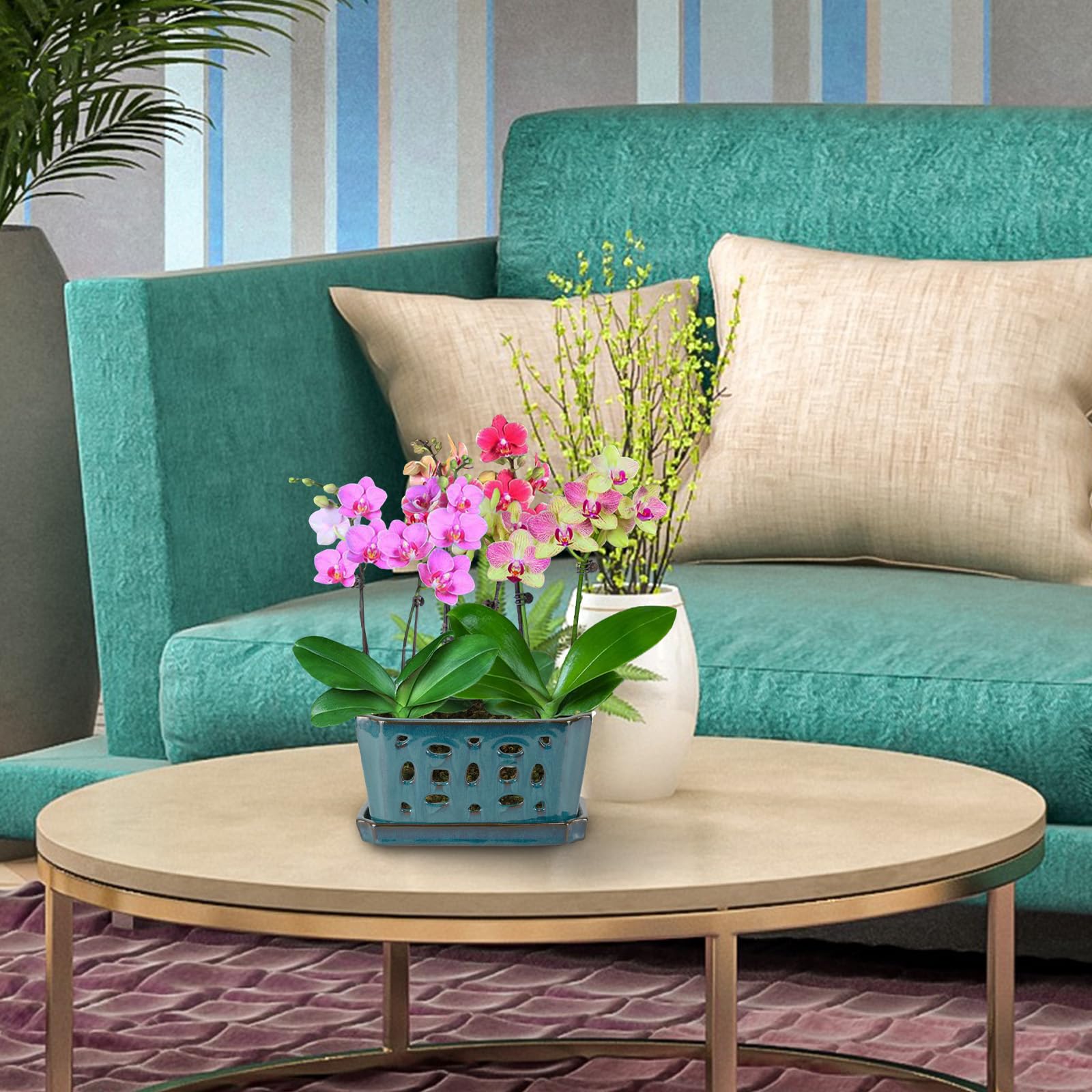 W&amp;W teal orchid pot on display as decorative planter