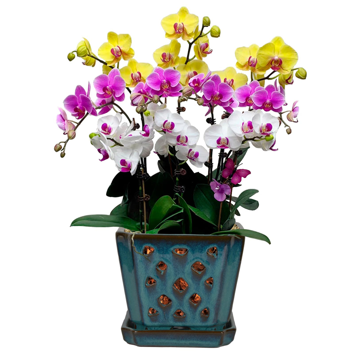 W&W Orchid Pot teal glaze exterior showing durable ceramic design
