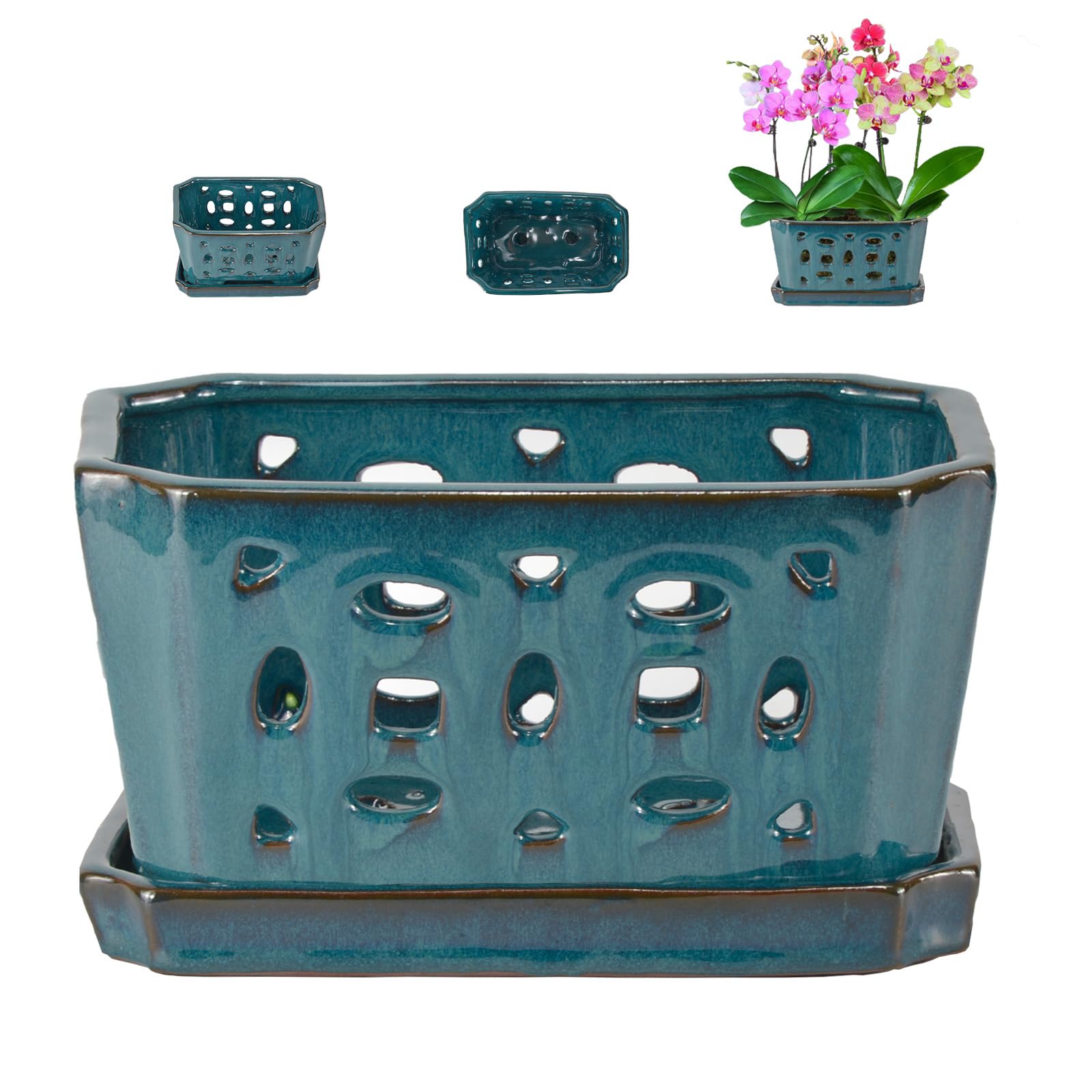 W&amp;W teal orchid pot with holes and saucer for proper drainage during repotting