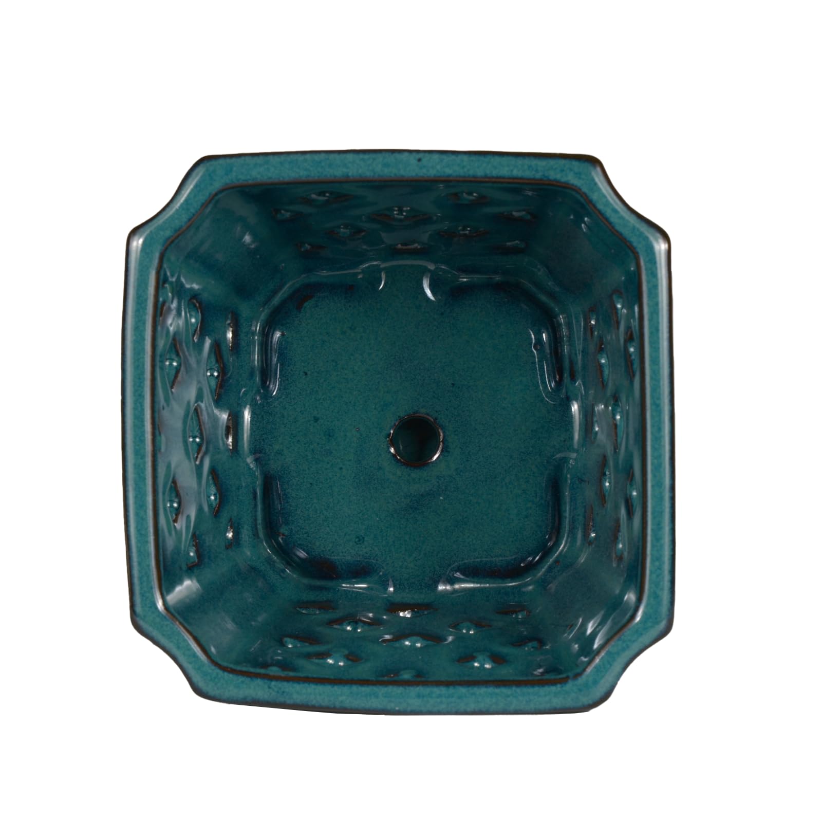 W&W Orchid Pot teal on windowsill enhances display and care