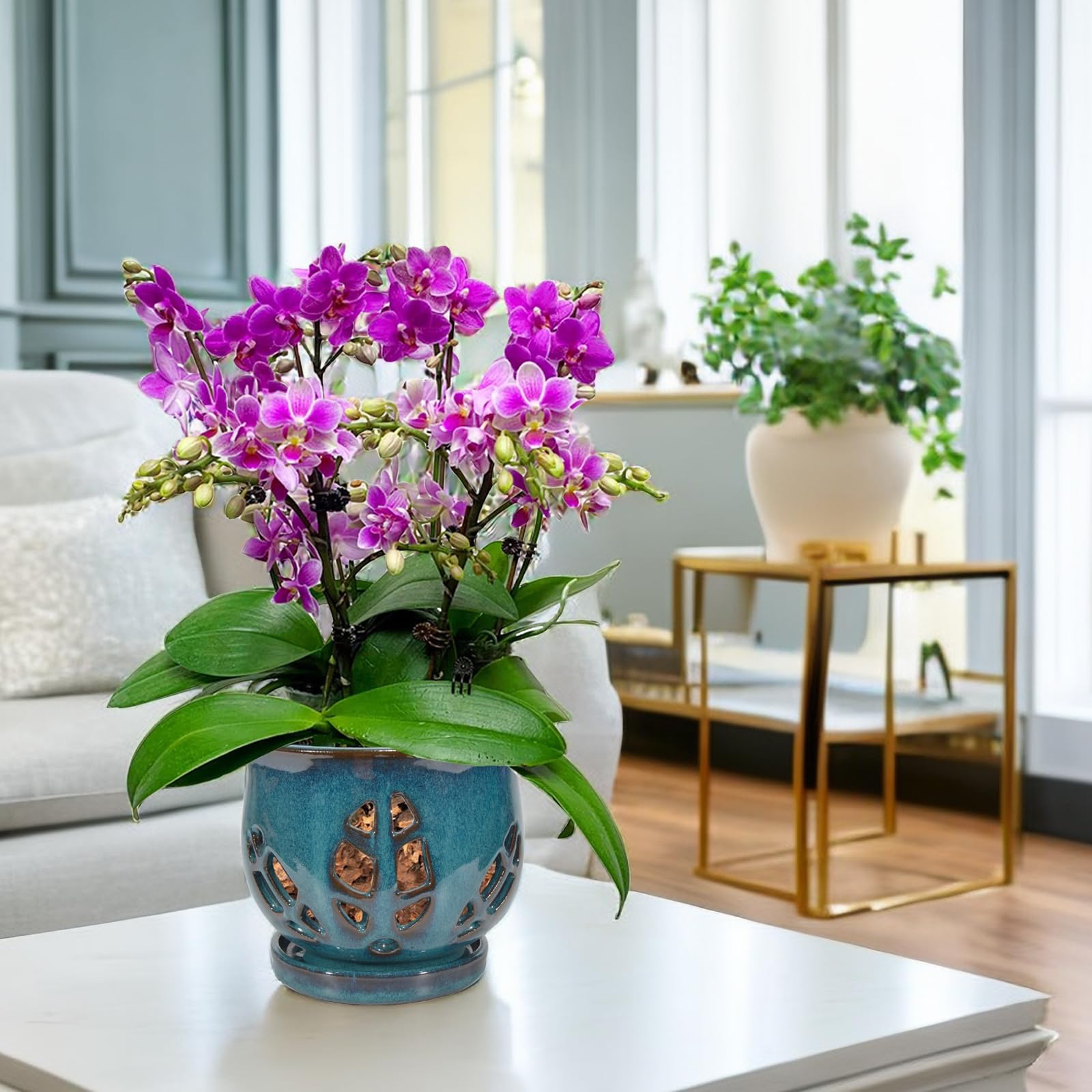 W&W orchid pot teal 6.5 inch size suits standard orchid pots and repotting cycles.