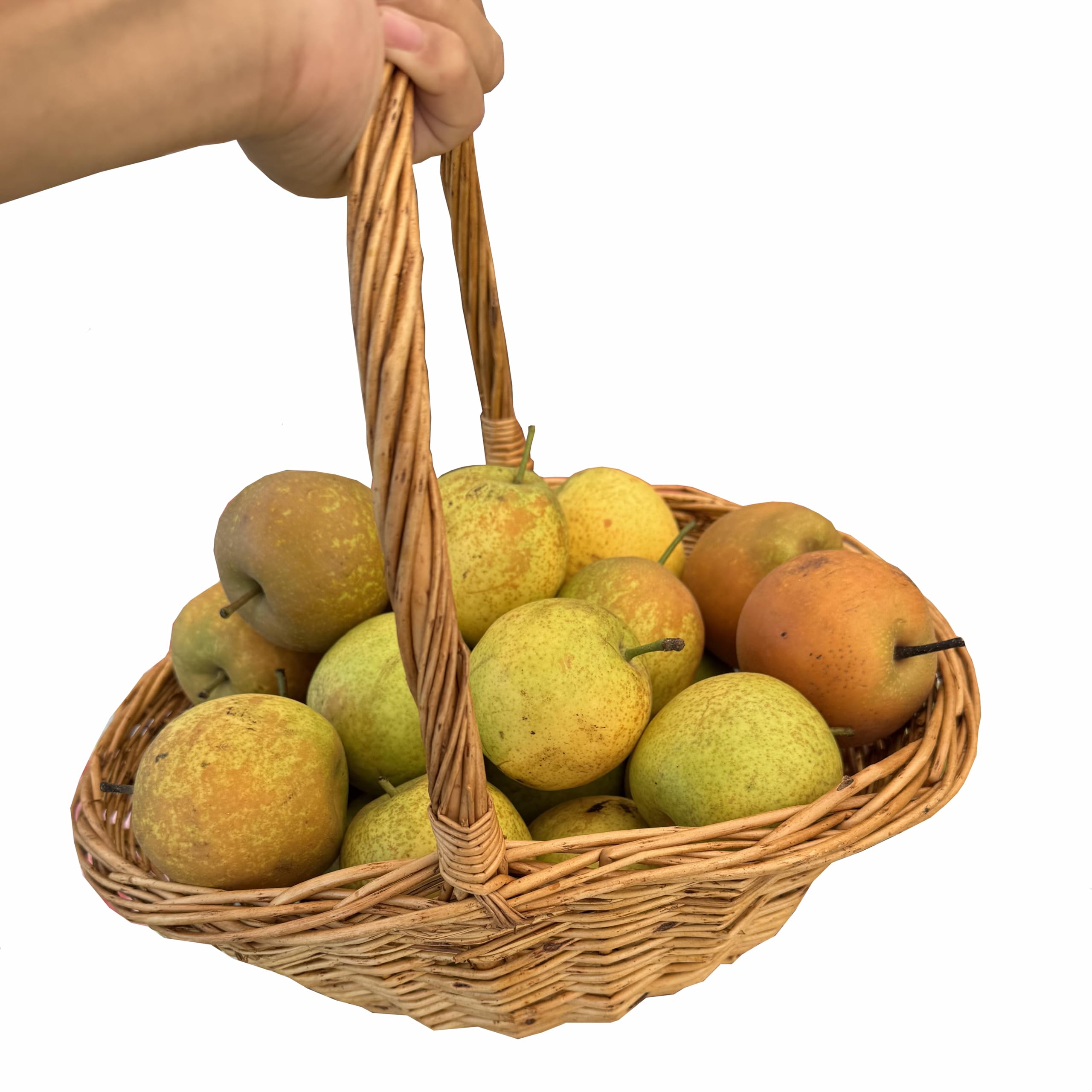 WXQGHDDF multipurpose basket suitable for garden harvest or Easter displays.