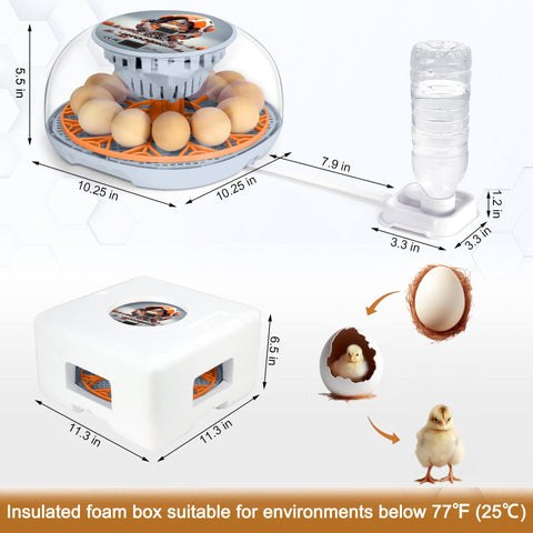 WYD2ANG incubator hatching progress viewed through clear lid.