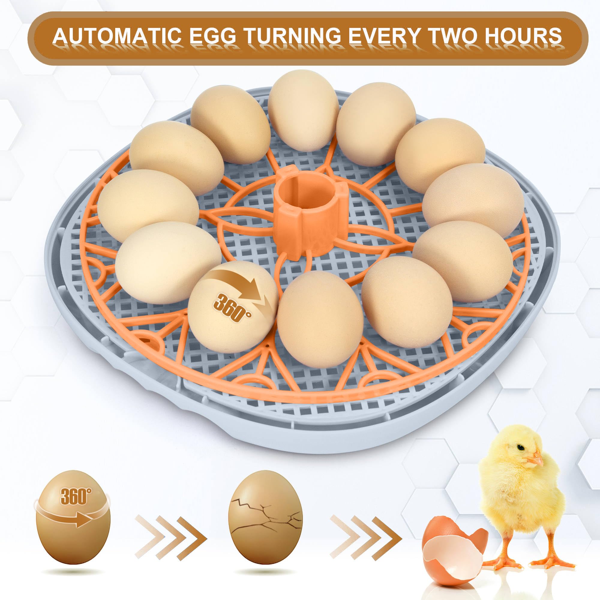 WYD2ANG incubator multi-functional egg tray for chicken, duck and quail eggs.