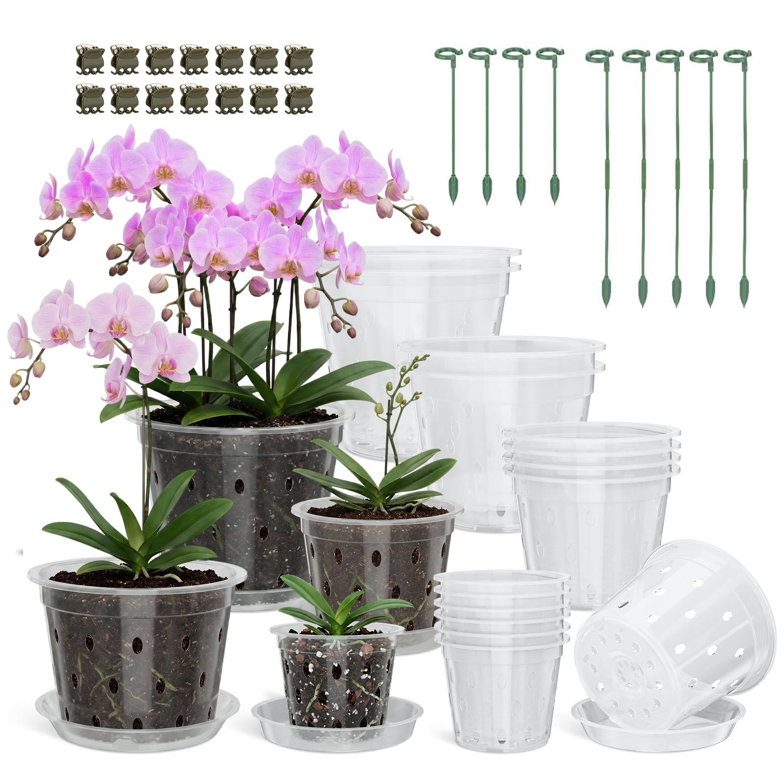 Wyegey 4-inch clear orchid pot with drainage for easy watering