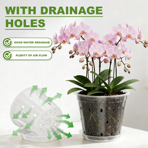 Wyegey 5-inch clear orchid pot with drainage slots for airflow