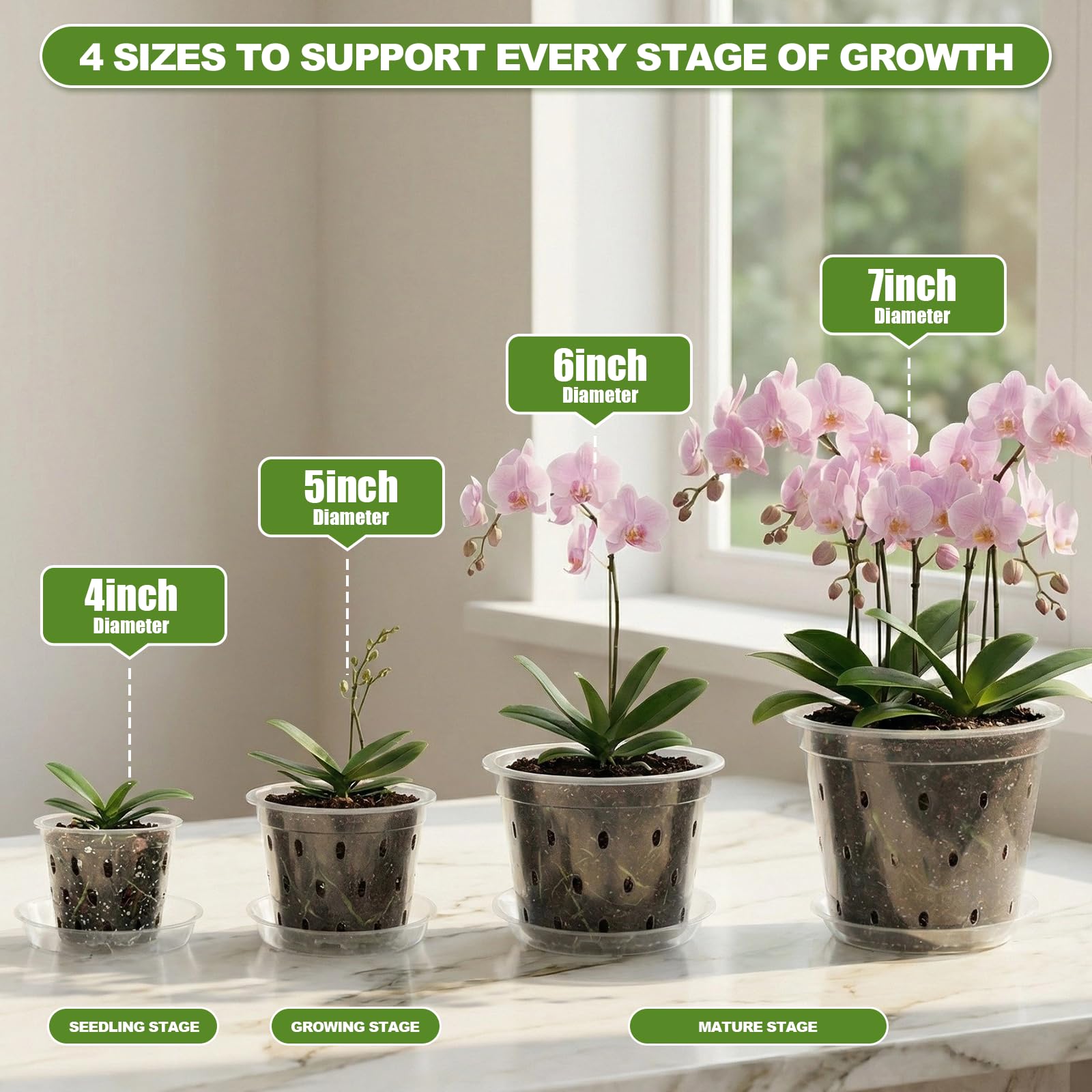 Wyegey 6-inch clear orchid pot ideal for mid-sized plants and repotting