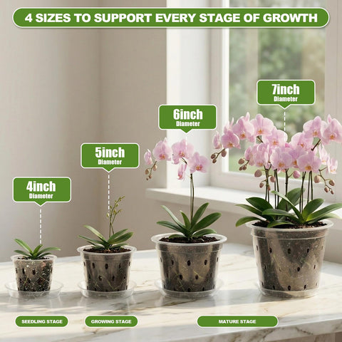 Wyegey 6-inch clear orchid pot ideal for mid-sized plants and repotting