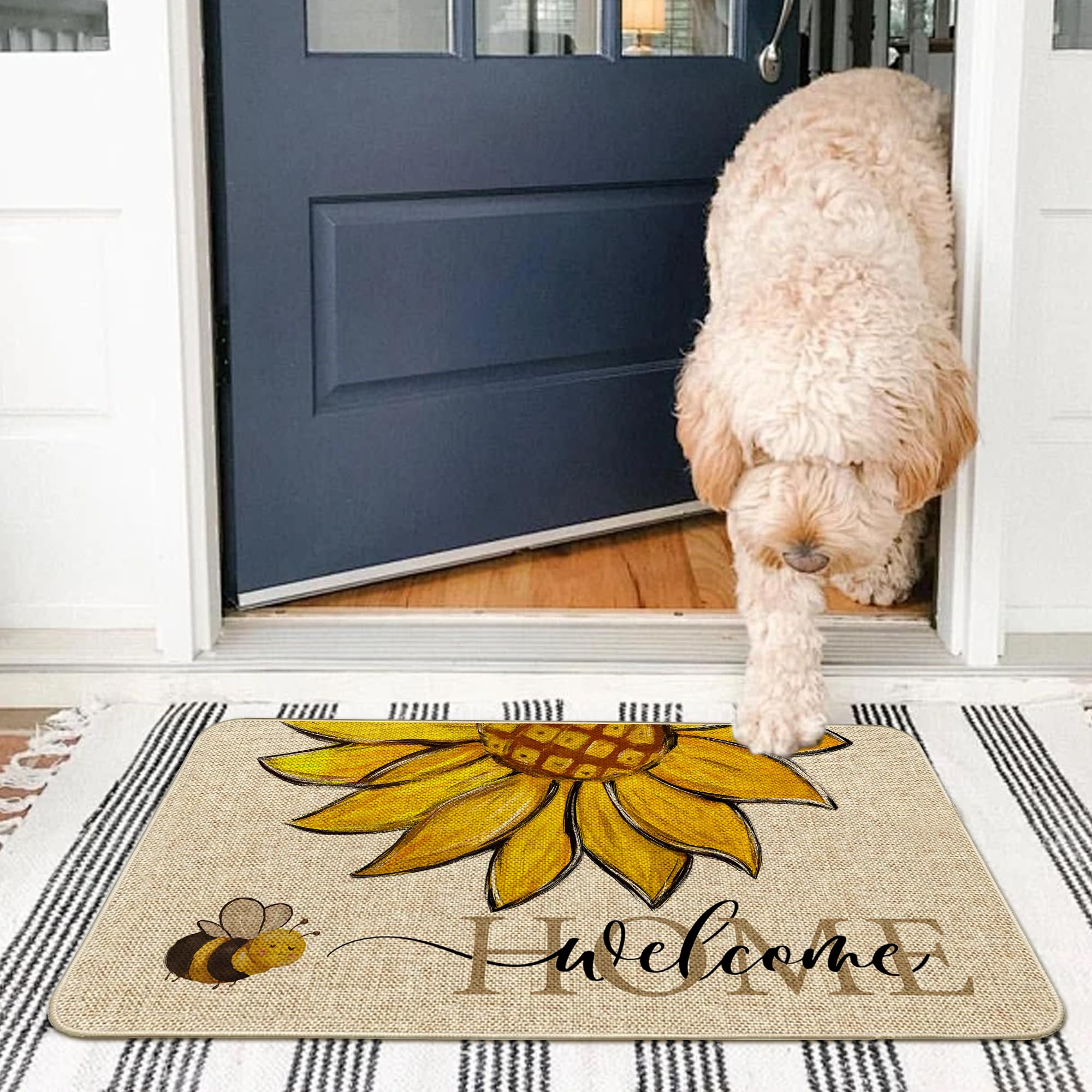 Wylumen indoor outdoor entrance mat versatile for porch and patio.
