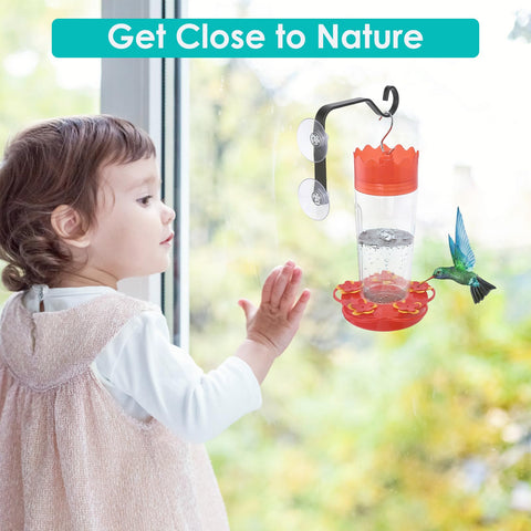 WYLUNBI decorative birdhouse hanger attached to glass for backyard charm.