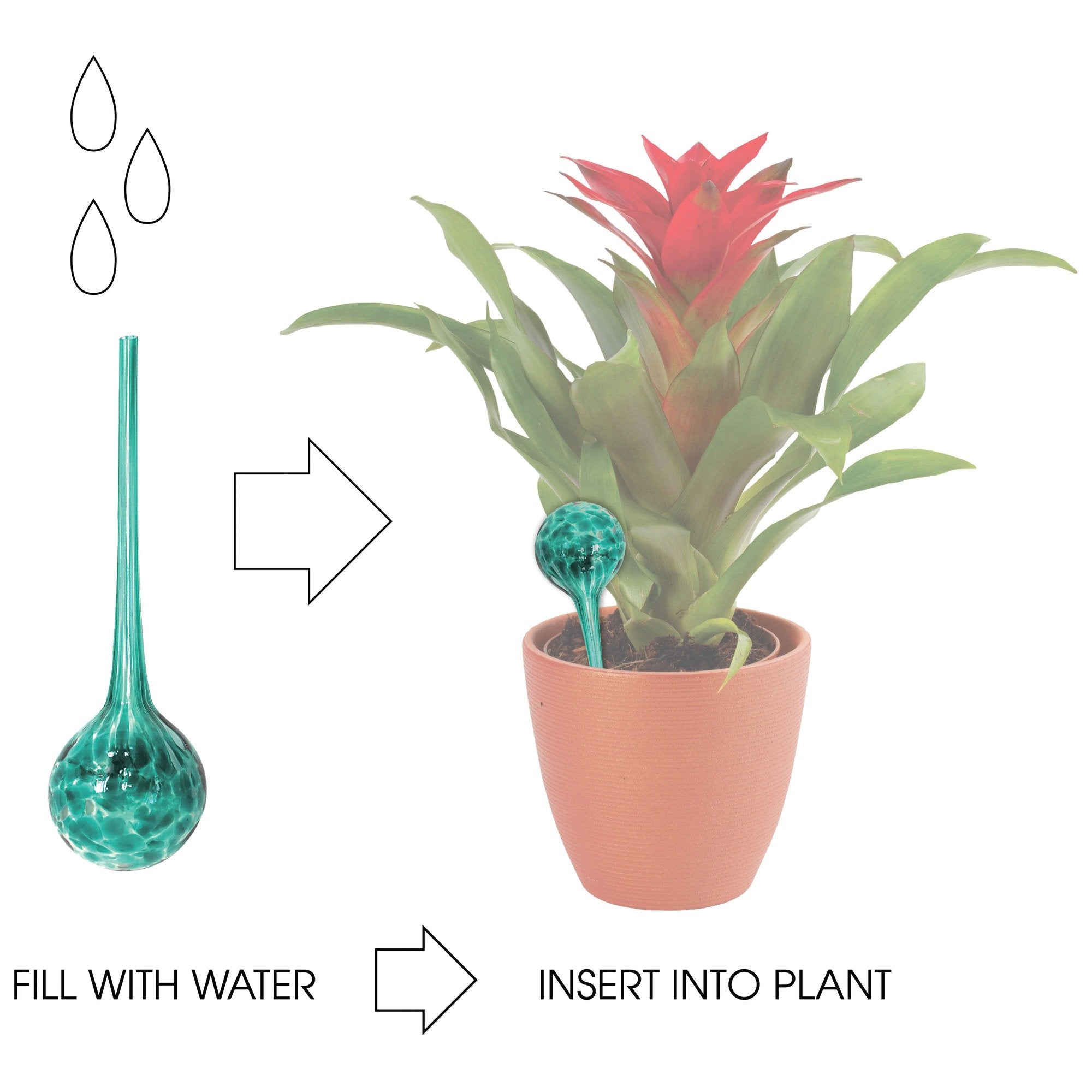 Wyndham House glass watering globes add decorative function to indoor and outdoor gardens