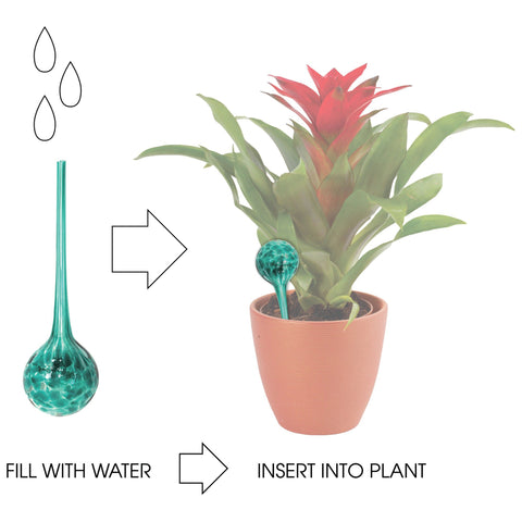 Wyndham House glass watering globes add decorative function to indoor and outdoor gardens