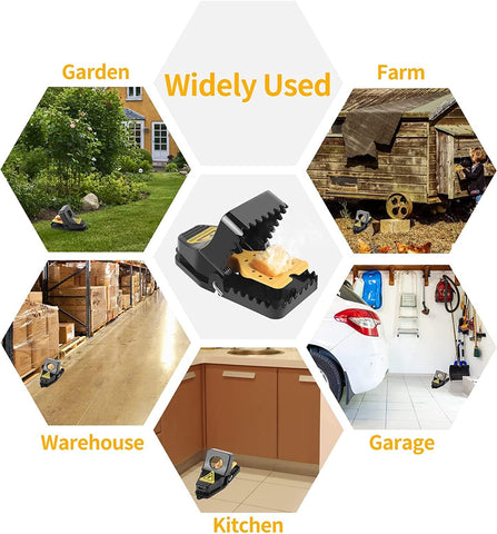 Wysteria traps provide chemical-free rodent control without poisons.