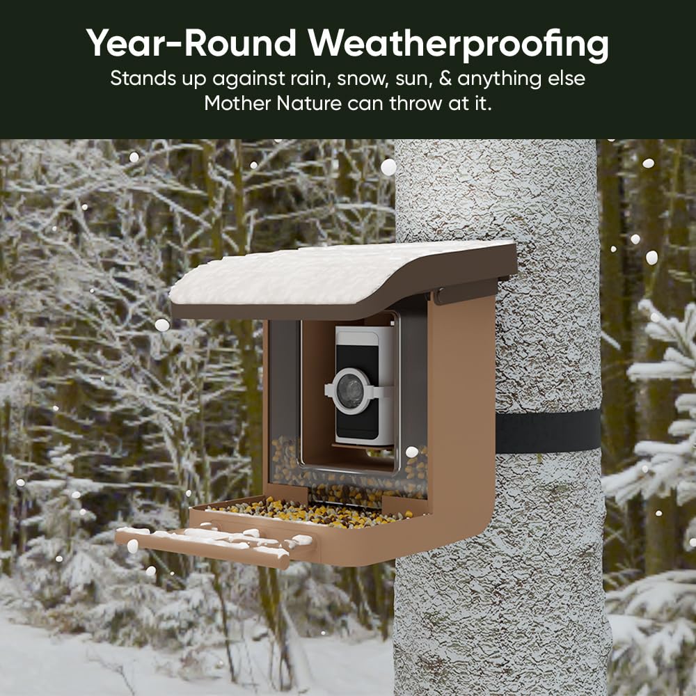 Wyze Bird Feeder Case pole mount places the camera for clear yard views.