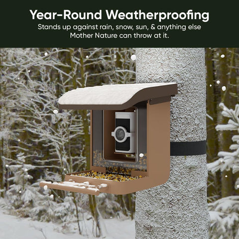 Wyze Bird Feeder Case pole mount places the camera for clear yard views.