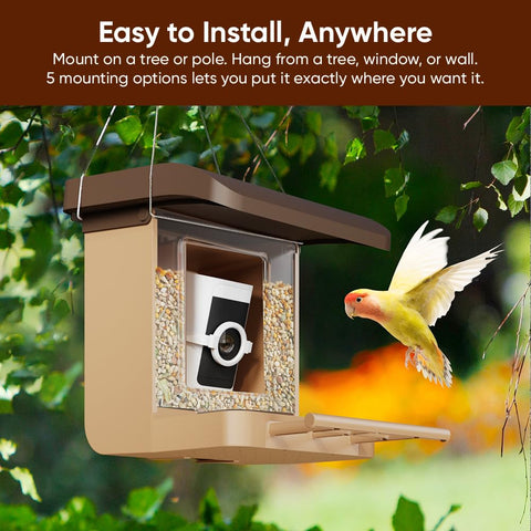 Wyze Bird Feeder Case tree mount blends into foliage for natural bird visits.