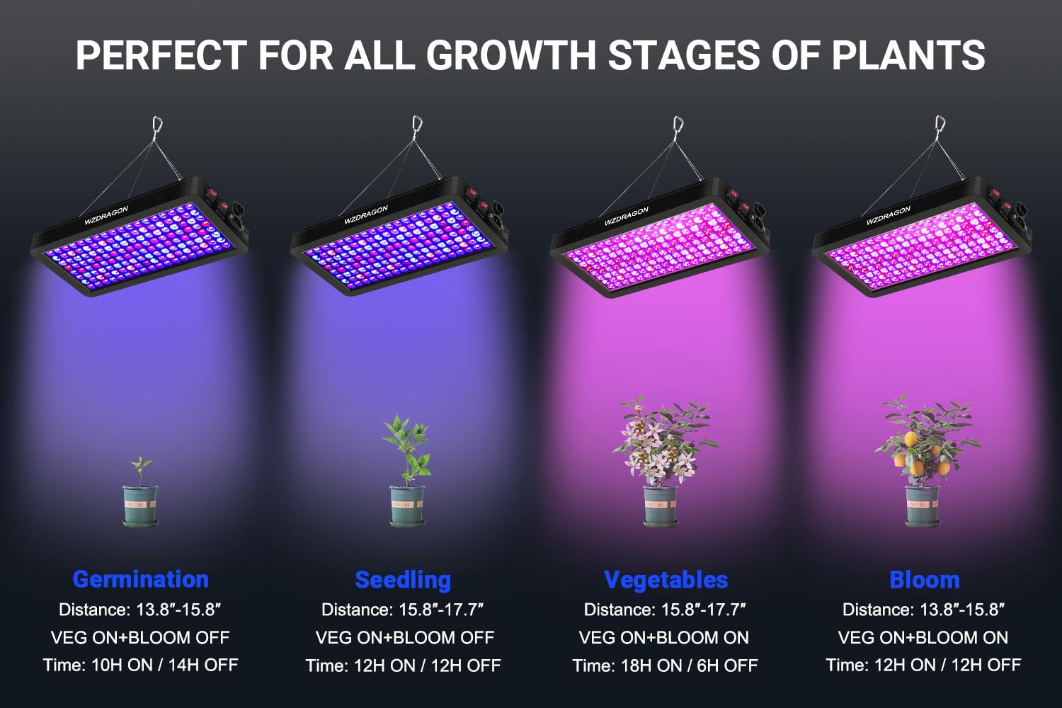WZDRAGON BW1000 includes UV and IR spectrum for robust growth.