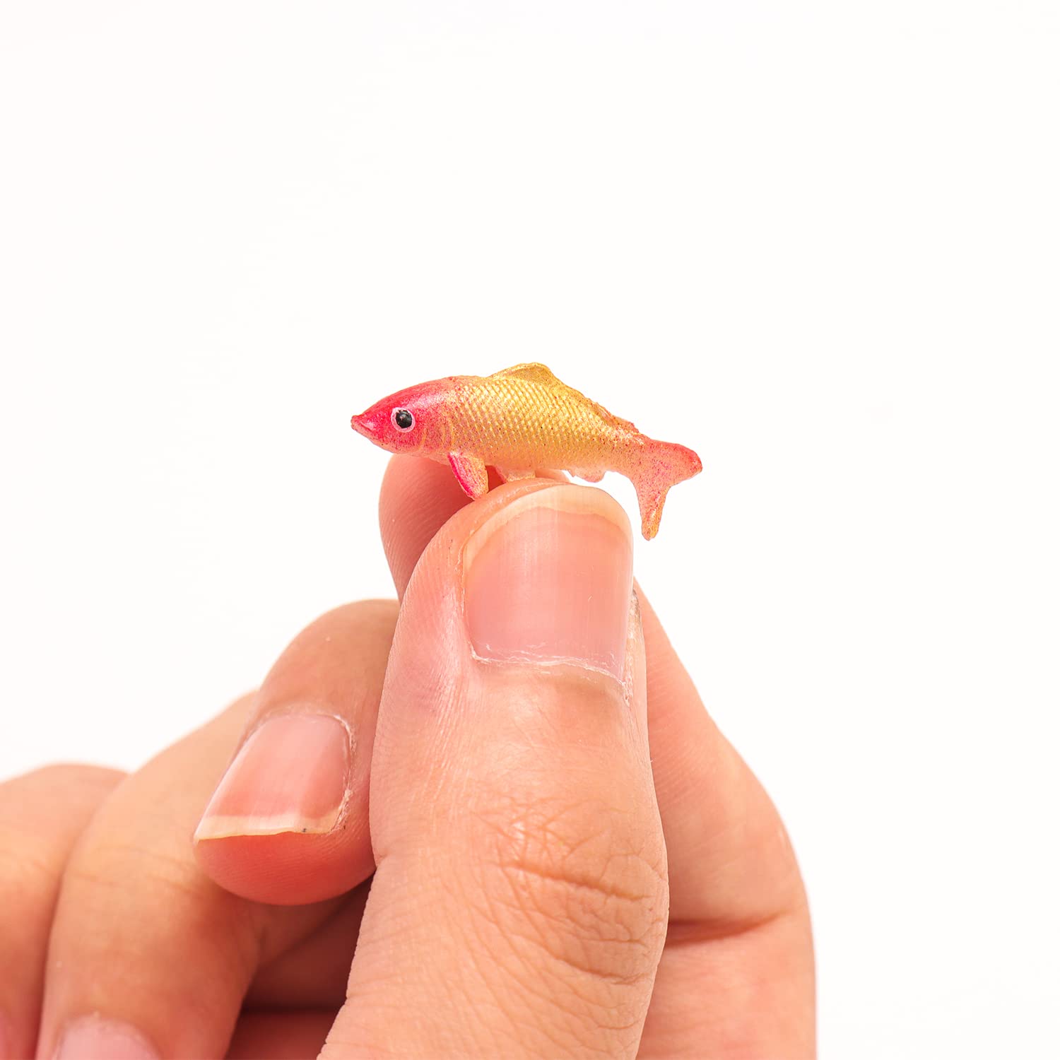 X Hot Popcorn mini koi fish set for art and craft displays.
