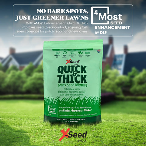 X-Seed dense turf emerging for a vibrant emerald lawn
