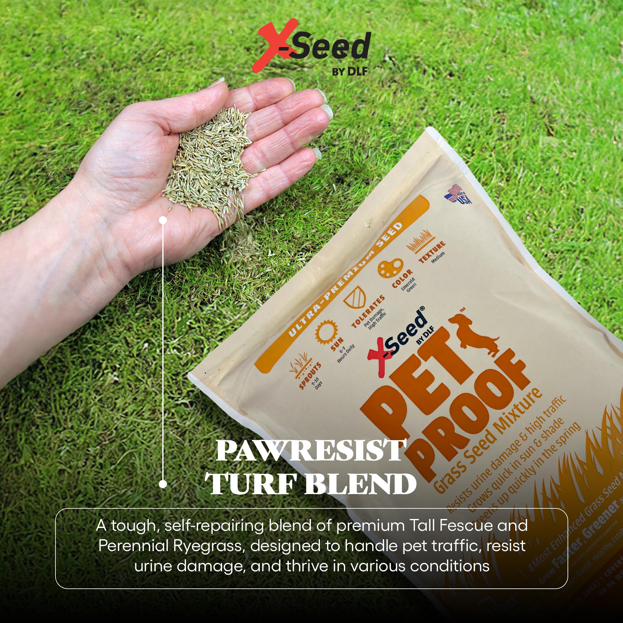 X-Seed dog-friendly lawn designed for active outdoor spaces.