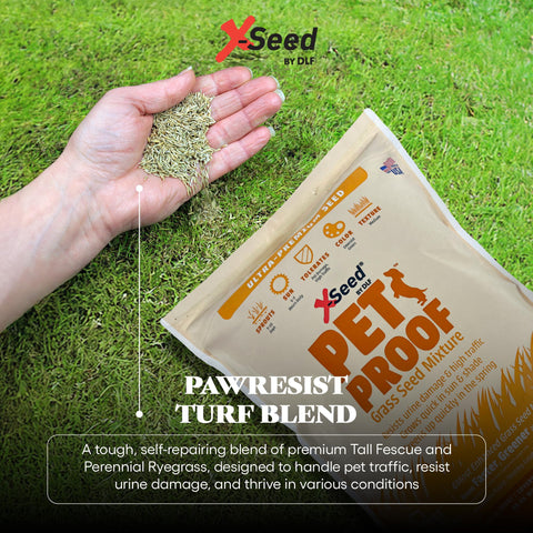 X-Seed dog-friendly lawn designed for active outdoor spaces.