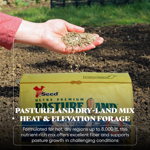 X-Seed dry-climate-tolerance supports steady growth in hot sunny, high-elevation pastures