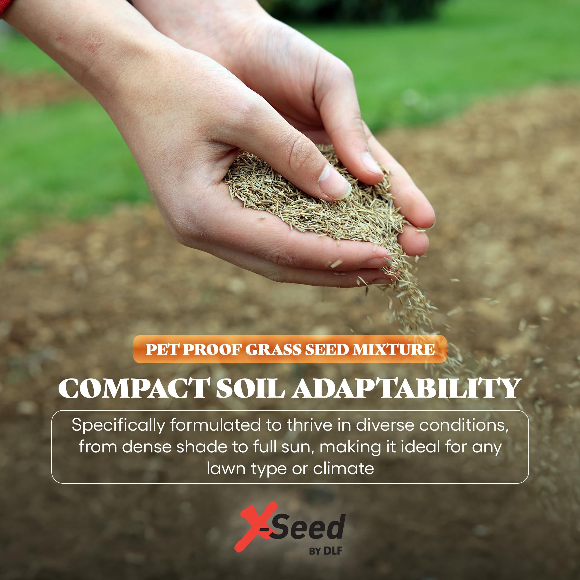 X-Seed fast germination in sun and shade for quicker lawns.