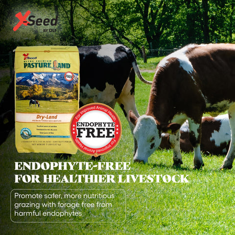 X-Seed endophyte-free label promotes safe grazing for livestock