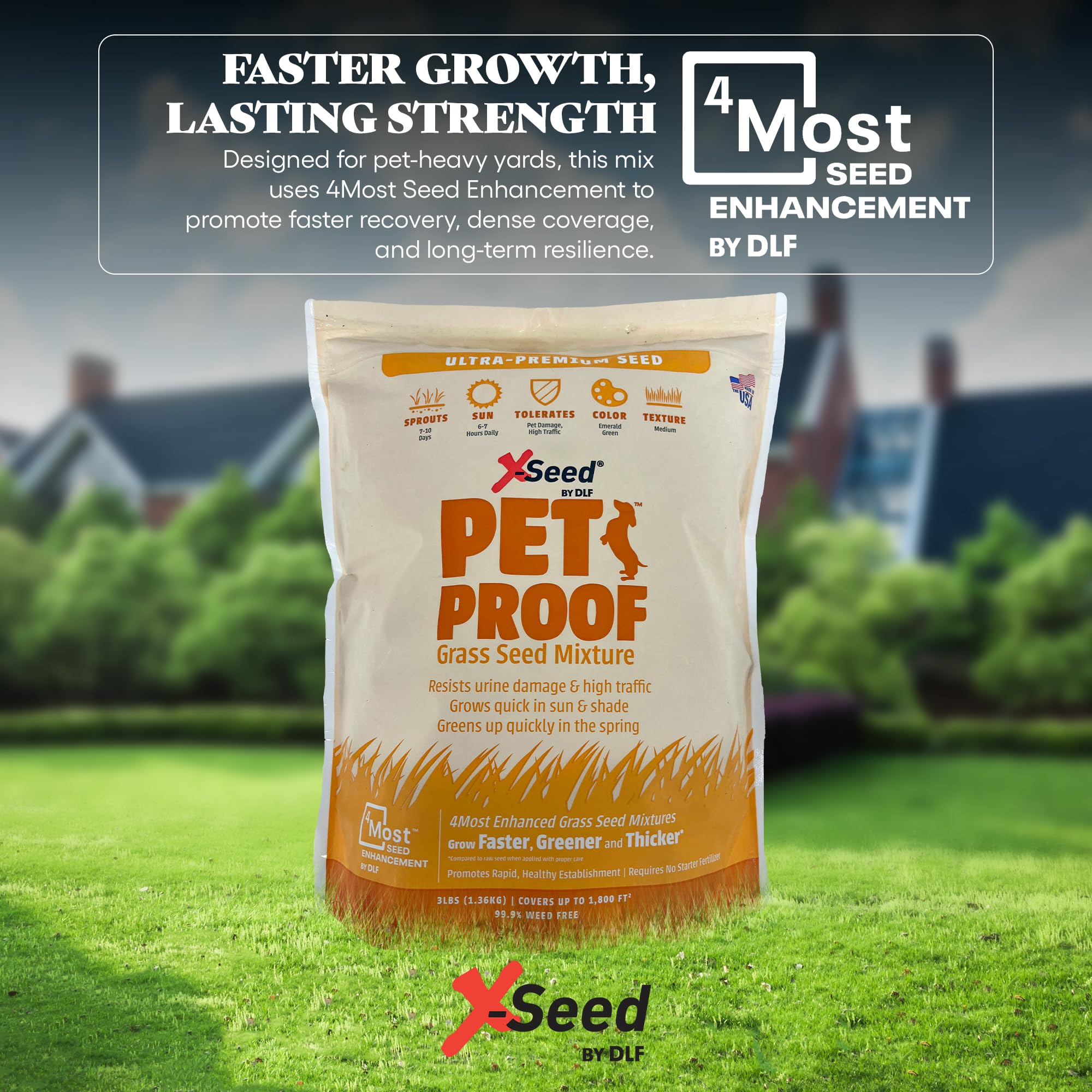 X-Seed dense turf withstands high foot traffic with vibrant color.