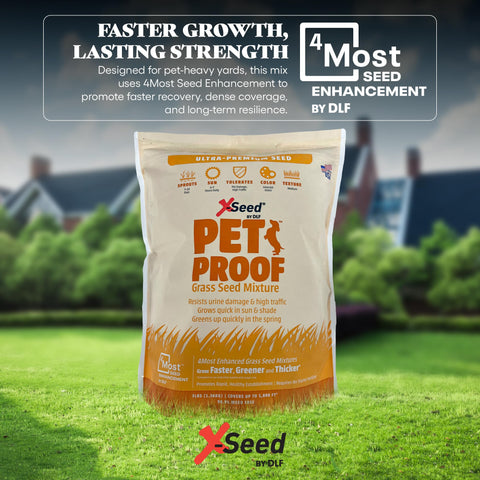 X-Seed dense turf withstands high foot traffic with vibrant color.