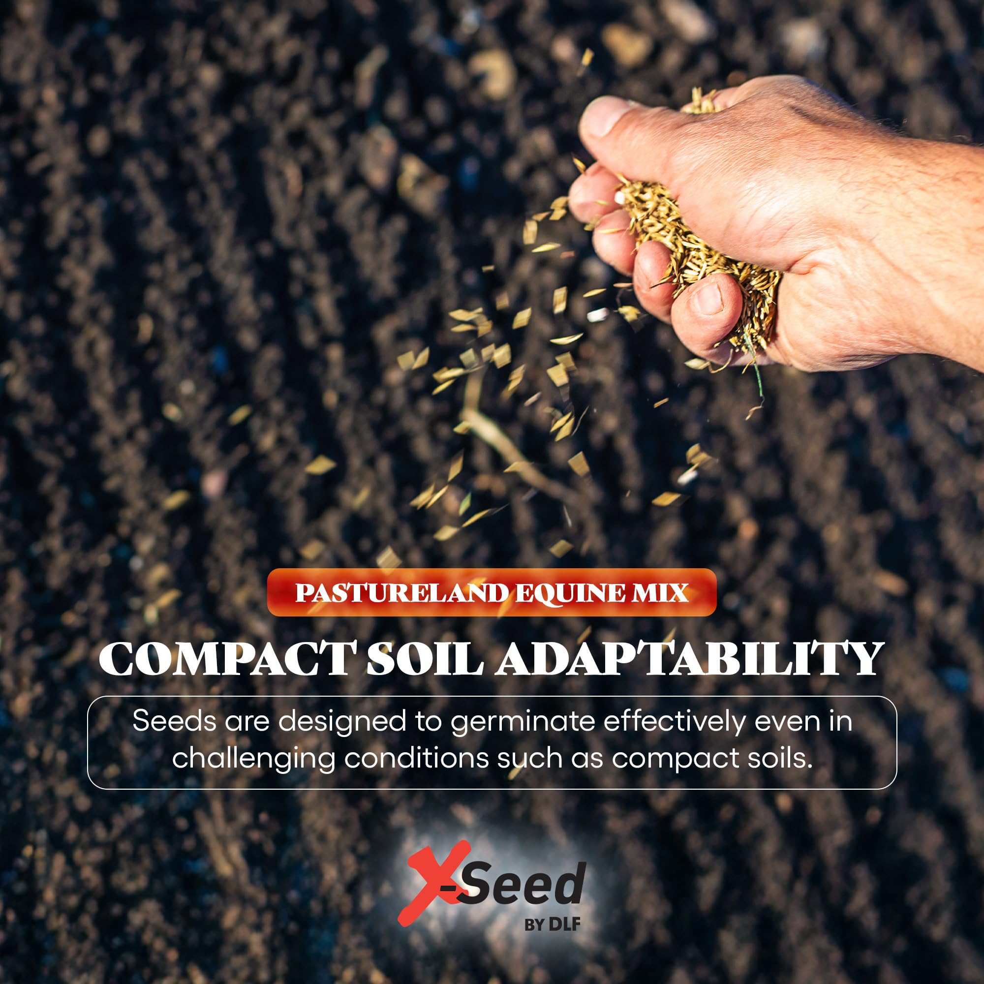 X-Seed full-sun establishment aids strong early growth in bare soil