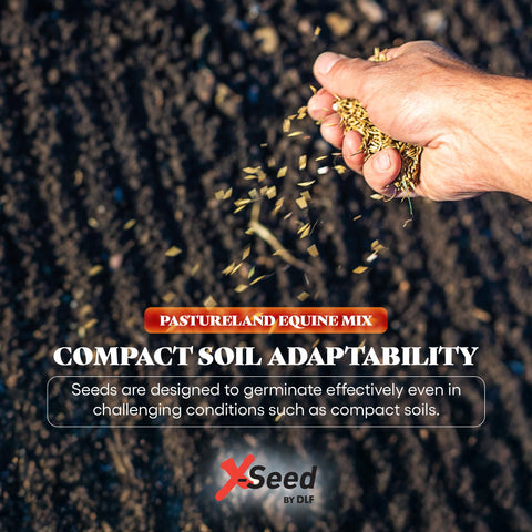 X-Seed full-sun establishment aids strong early growth in bare soil