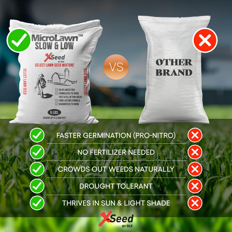 X-Seed Micro-Lawn microclover detail highlighting soil-friendly benefits.