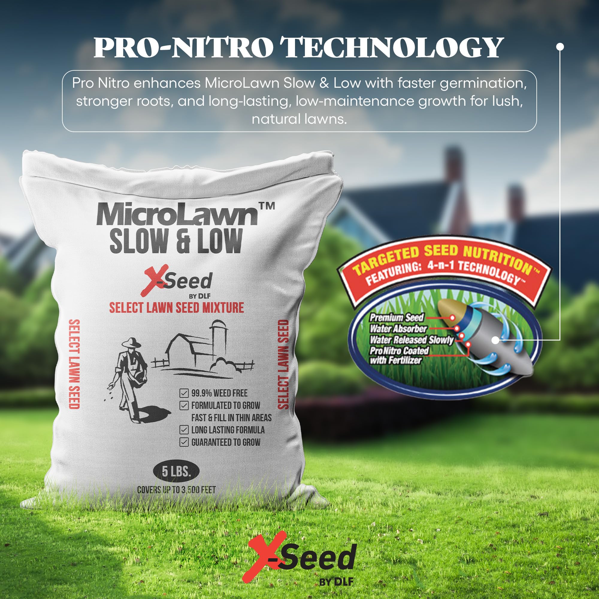 X-Seed Micro-Lawn demonstrates versatile shade and sun coverage for lawns.