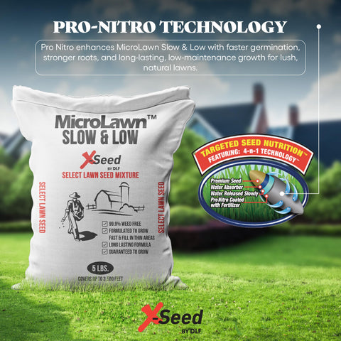 X-Seed Micro-Lawn demonstrates versatile shade and sun coverage for lawns.