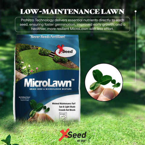 X-Seed Microlawn dense turf close-up reveals lush blades and even coverage.