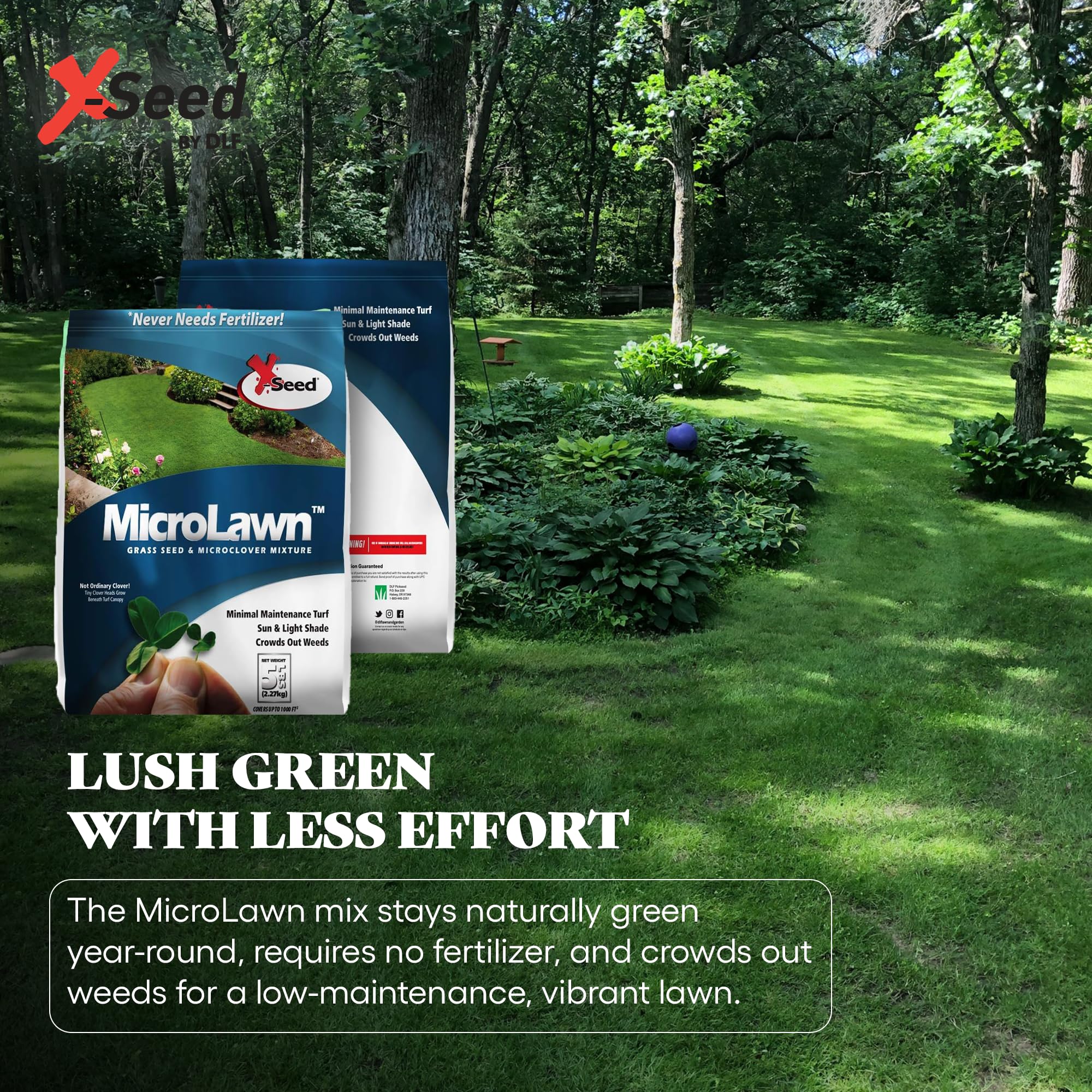 X-Seed Microlawn drought-tolerant grass resists heat for low-water landscapes.