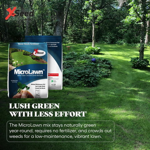 X-Seed Microlawn drought-tolerant grass resists heat for low-water landscapes.
