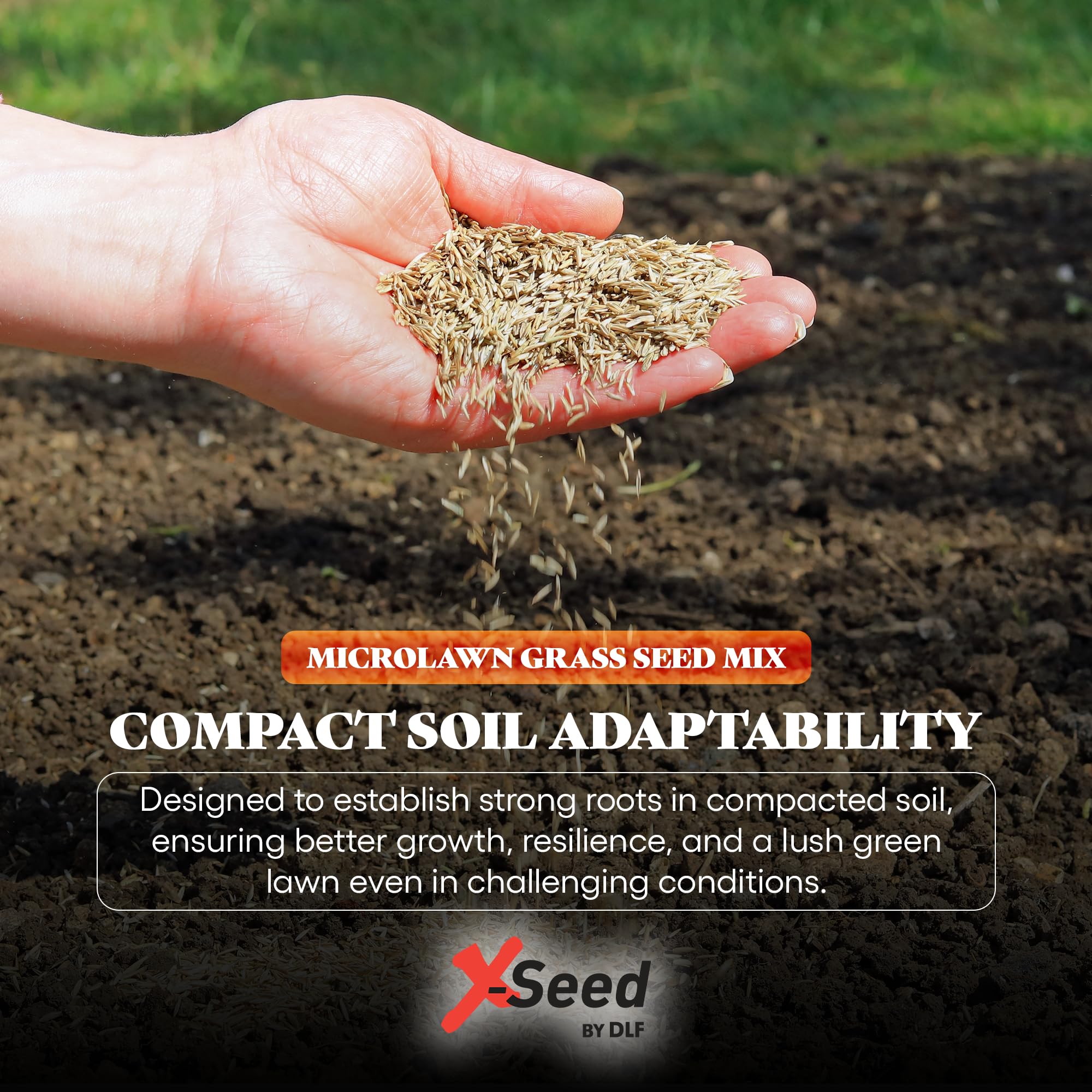 X-Seed Microlawn sun-shade coverage demonstrates adaptability for varied lawns.