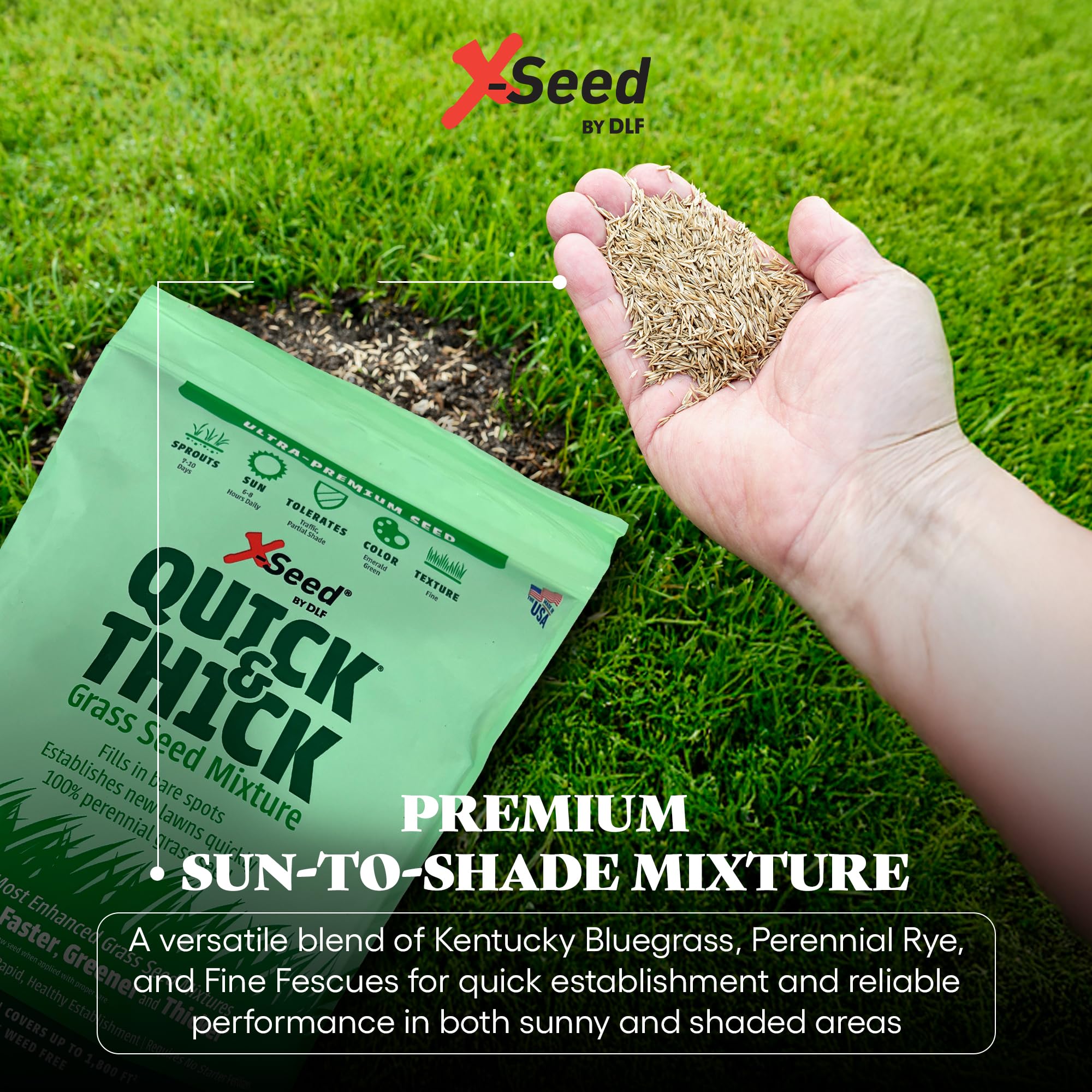 X-Seed patch revitalization for bare spots and new lawn establishment